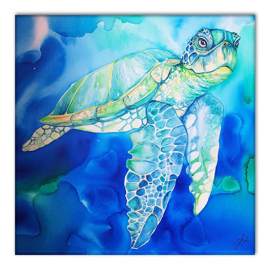 Coral Bay by Mia McLean