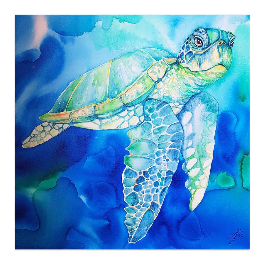 Coral Bay by Mia McLean