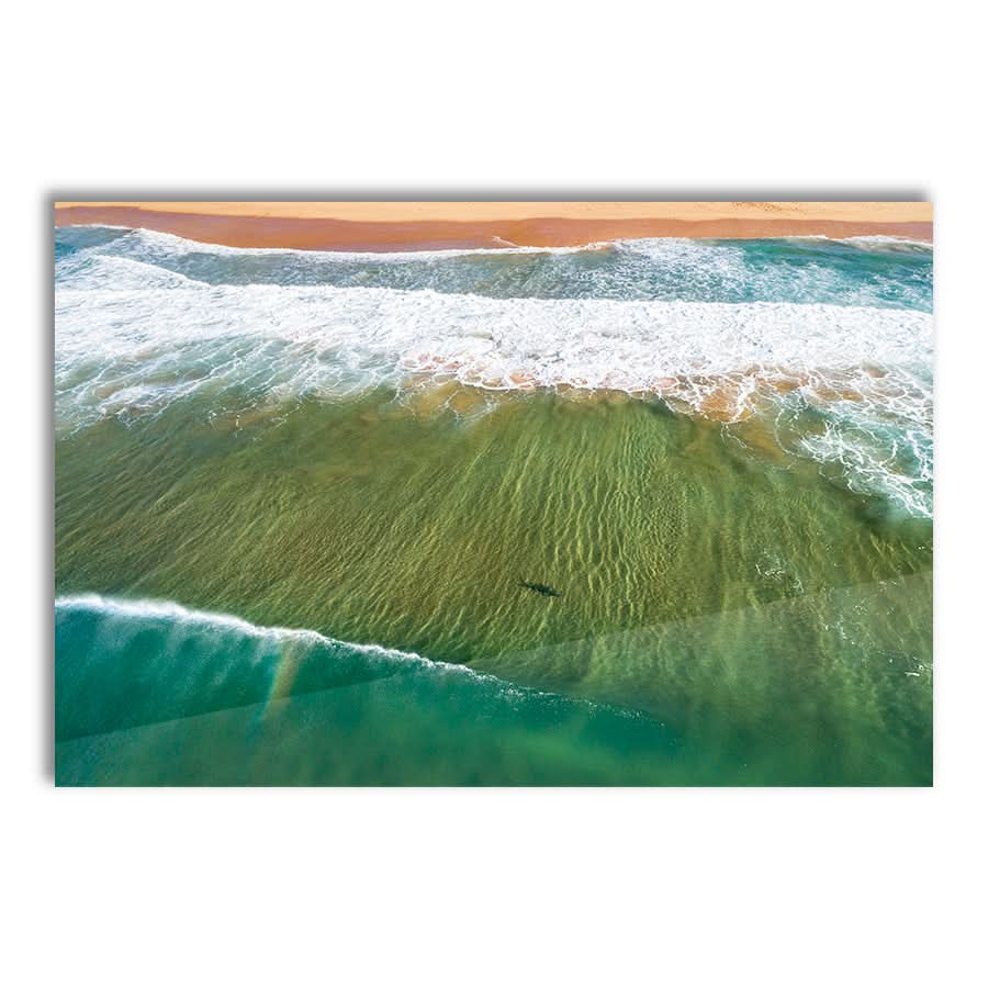 Locals Only by Stuart McAndrew
