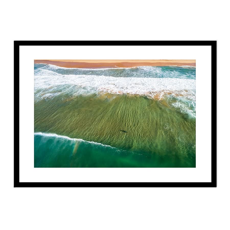 Locals Only by Stuart McAndrew