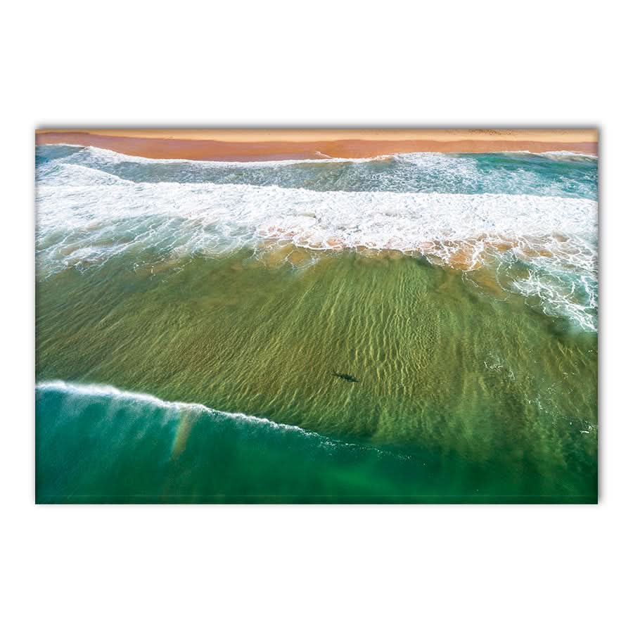 Locals Only by Stuart McAndrew