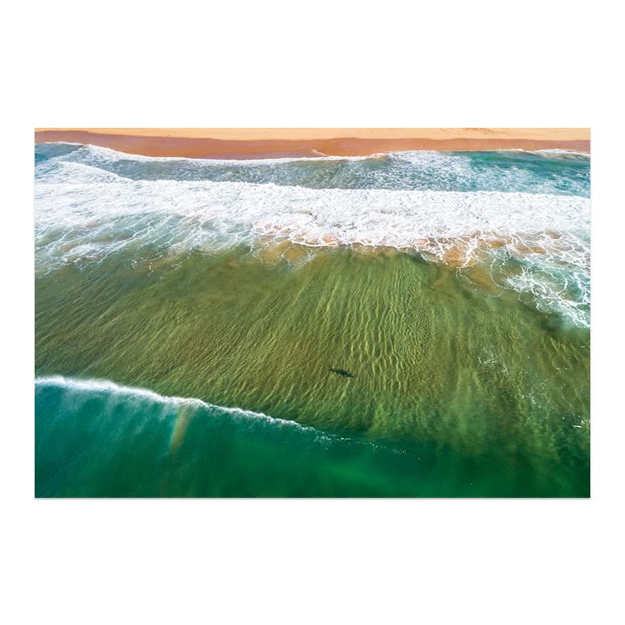 Locals Only by Stuart McAndrew