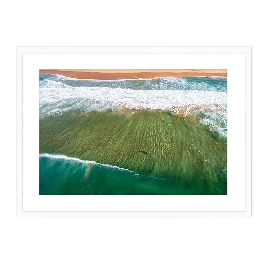 Locals Only by Stuart McAndrew