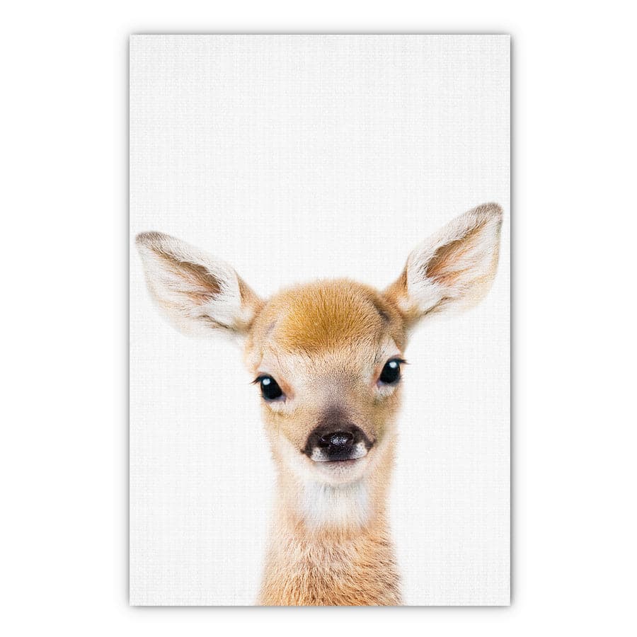 Peekaboo Deer by Lola Peacock