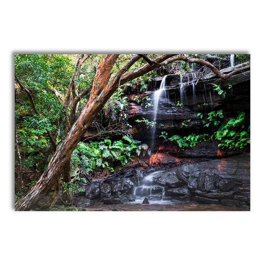 Falls (Brisbane Water National Park) by Troy Sinclair