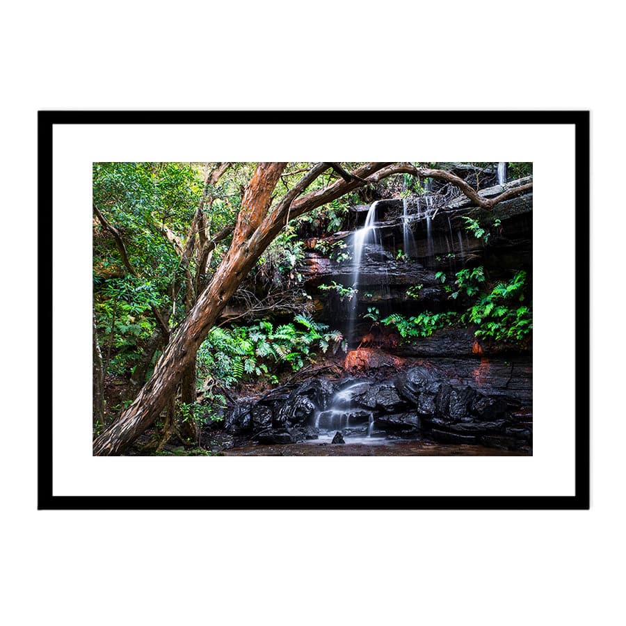 Falls (Brisbane Water National Park) by Troy Sinclair
