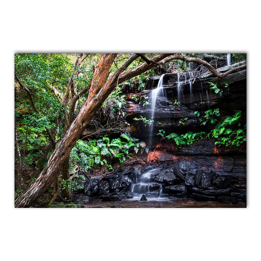 Falls (Brisbane Water National Park) by Troy Sinclair