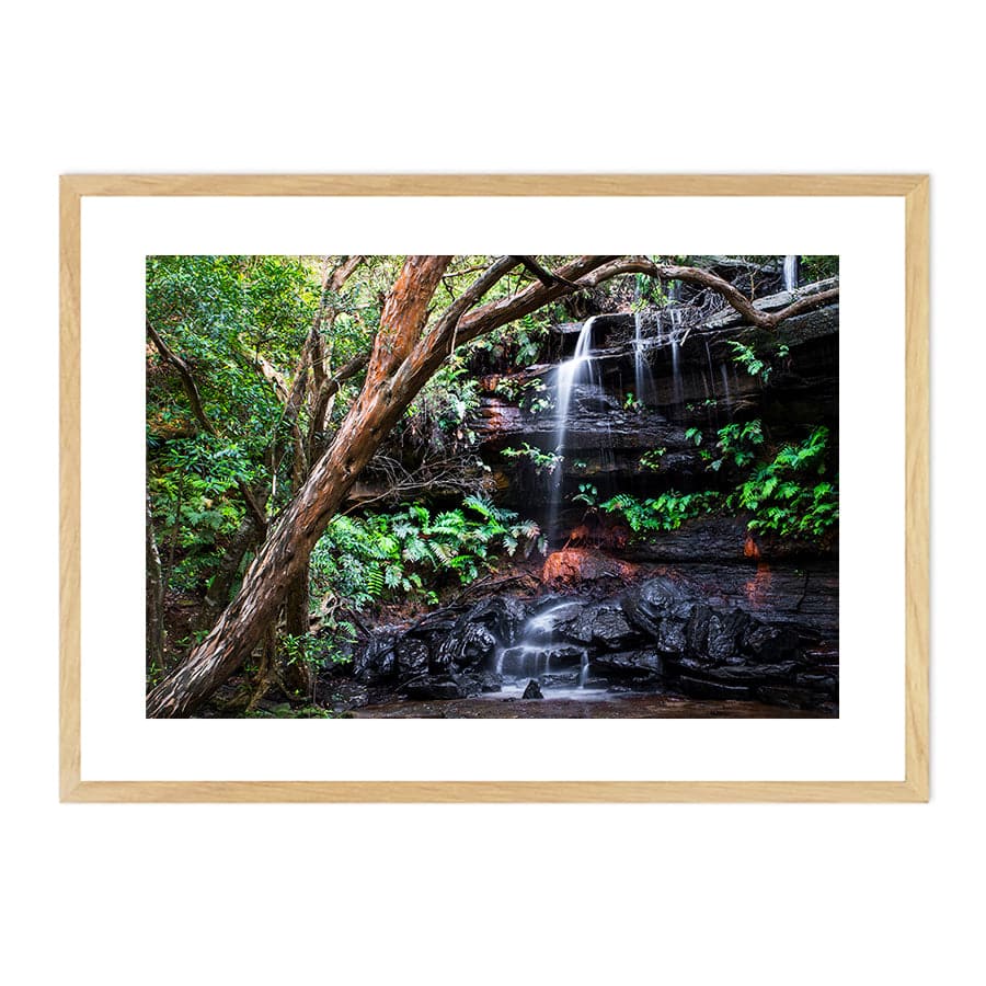 Falls (Brisbane Water National Park) by Troy Sinclair
