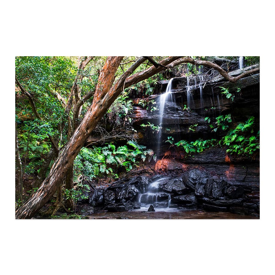Falls (Brisbane Water National Park) by Troy Sinclair