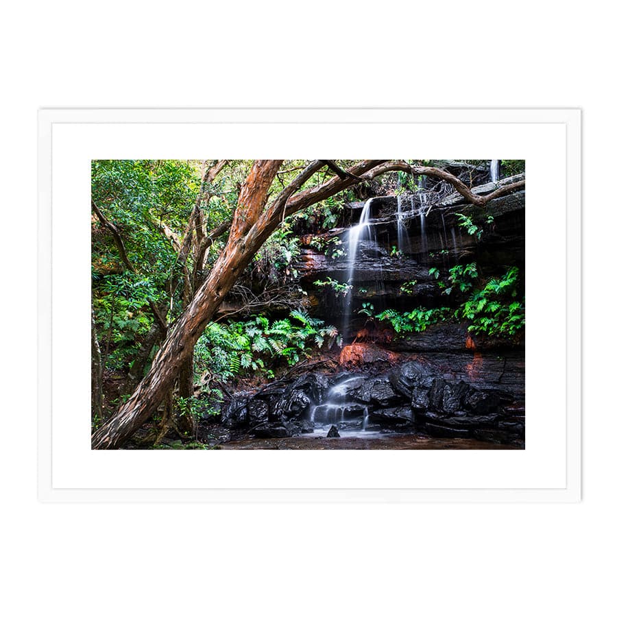 Falls (Brisbane Water National Park) by Troy Sinclair