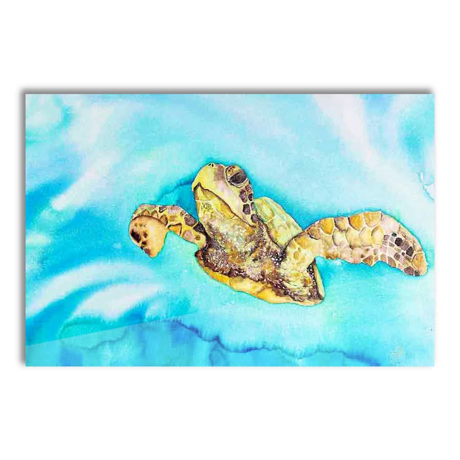 Green Sea Turtle by Mia McLean