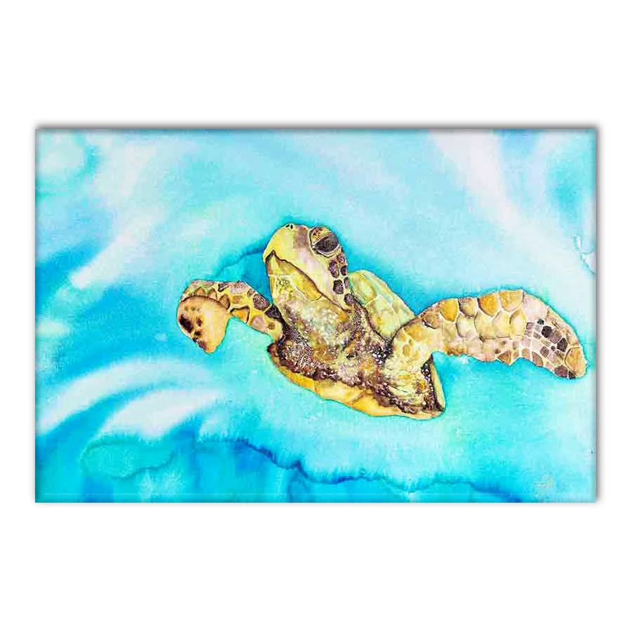 Green Sea Turtle by Mia McLean
