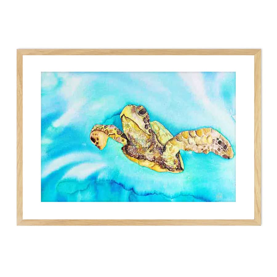 Green Sea Turtle by Mia McLean