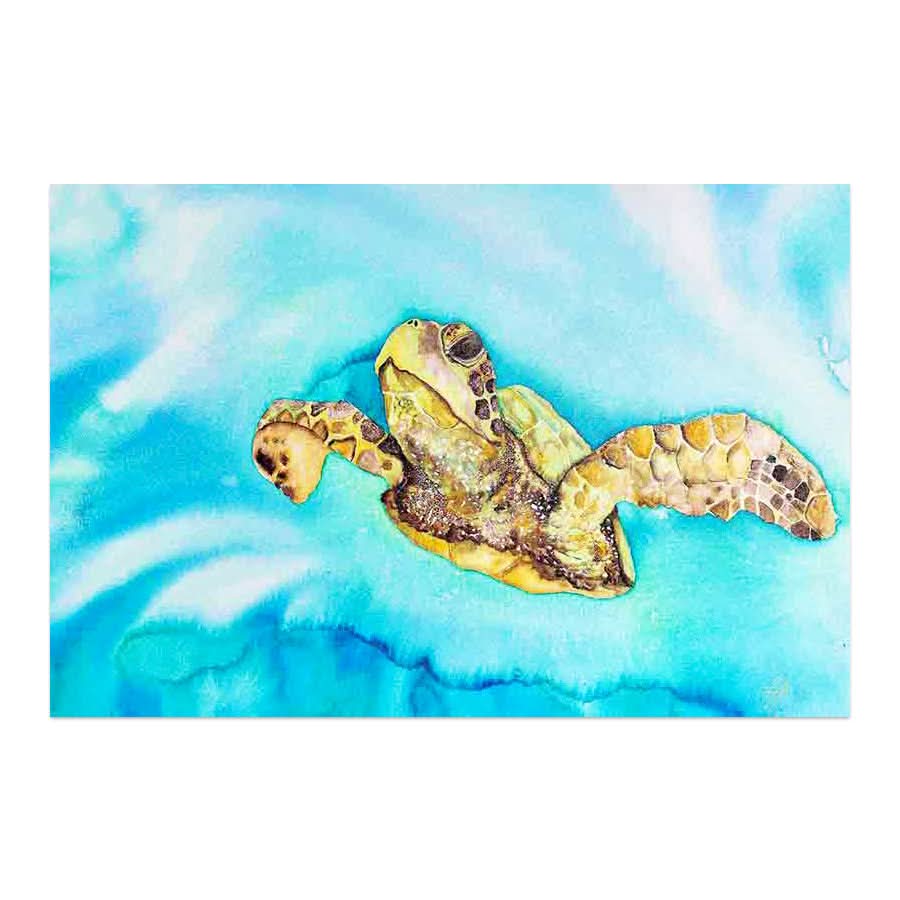 Green Sea Turtle by Mia McLean