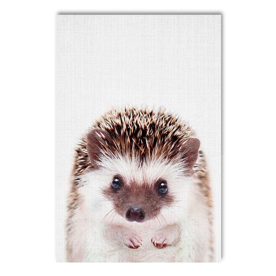 Peekaboo Hedgehog by Lola Peacock