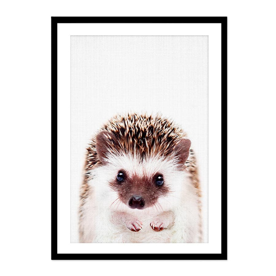 Peekaboo Hedgehog by Lola Peacock