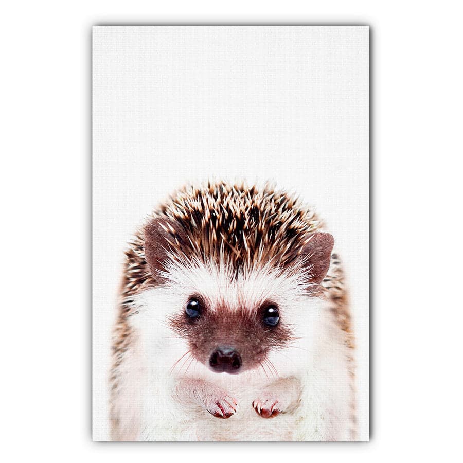 Peekaboo Hedgehog by Lola Peacock