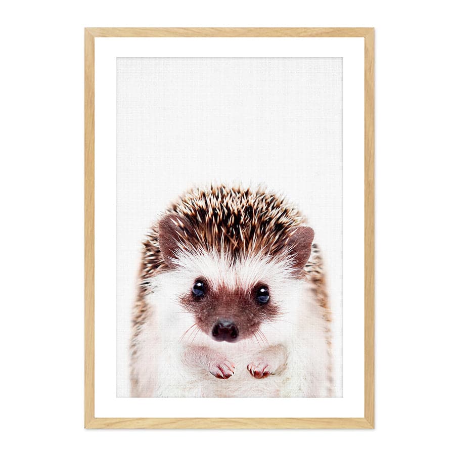 Peekaboo Hedgehog by Lola Peacock