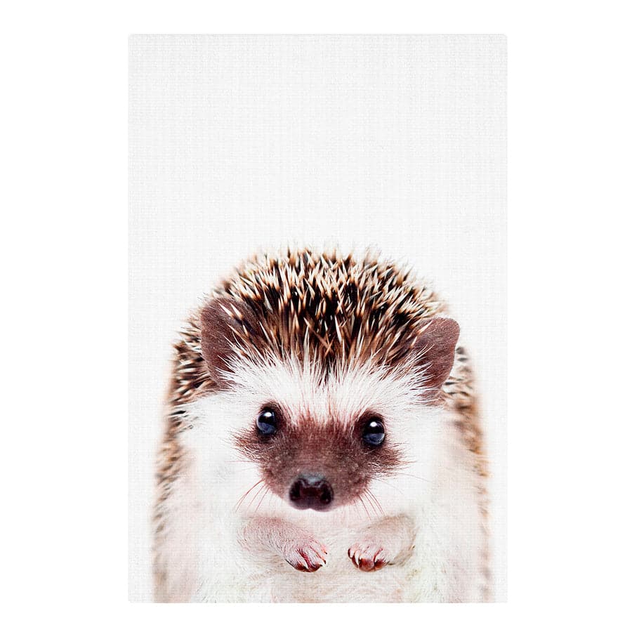 Peekaboo Hedgehog by Lola Peacock