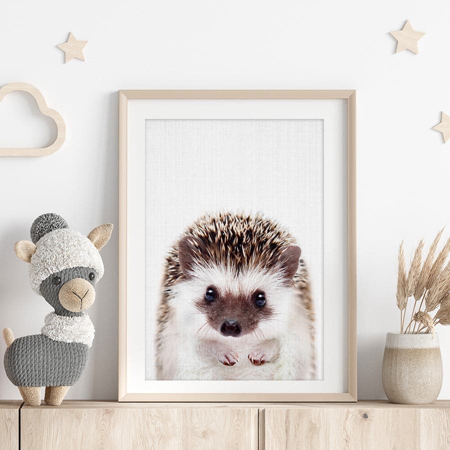 Peekaboo Hedgehog by Lola Peacock