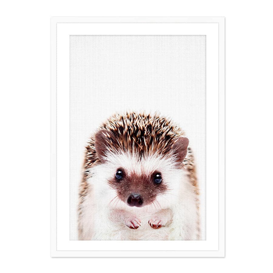 Peekaboo Hedgehog by Lola Peacock