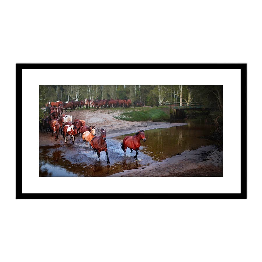 Glenworth Valley Horses by Steve Daggar
