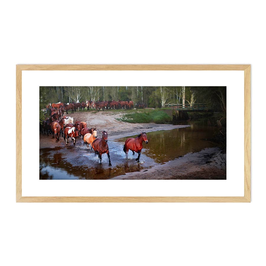 Glenworth Valley Horses by Steve Daggar