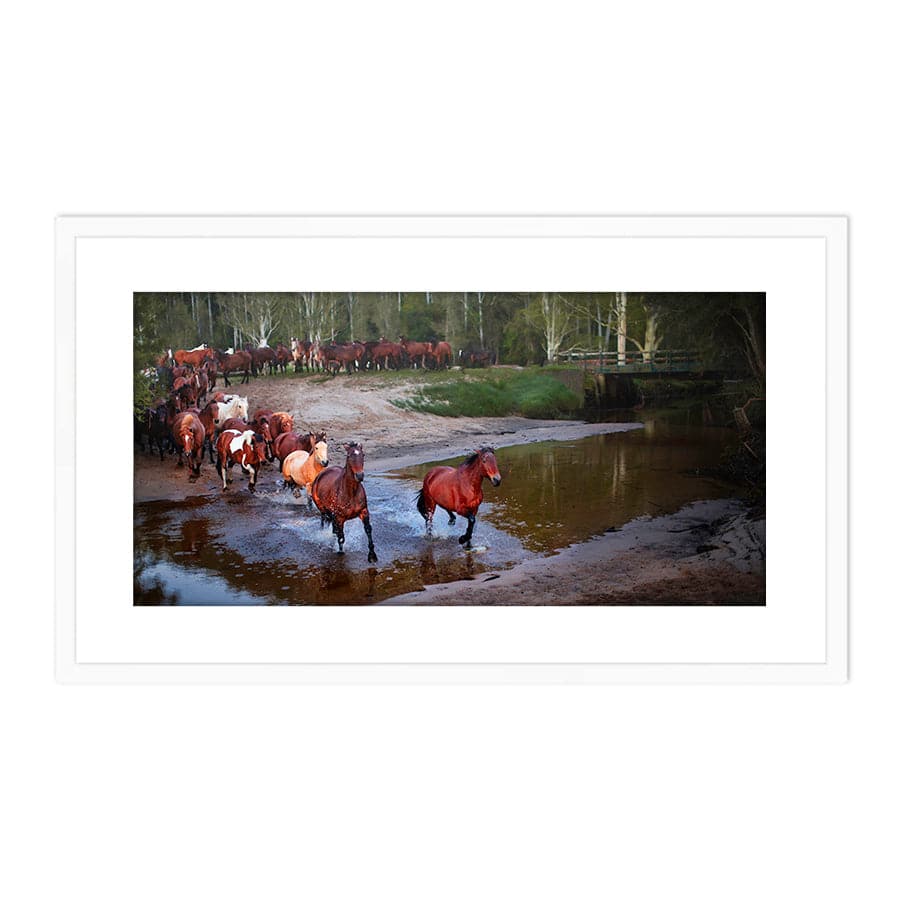 Glenworth Valley Horses by Steve Daggar