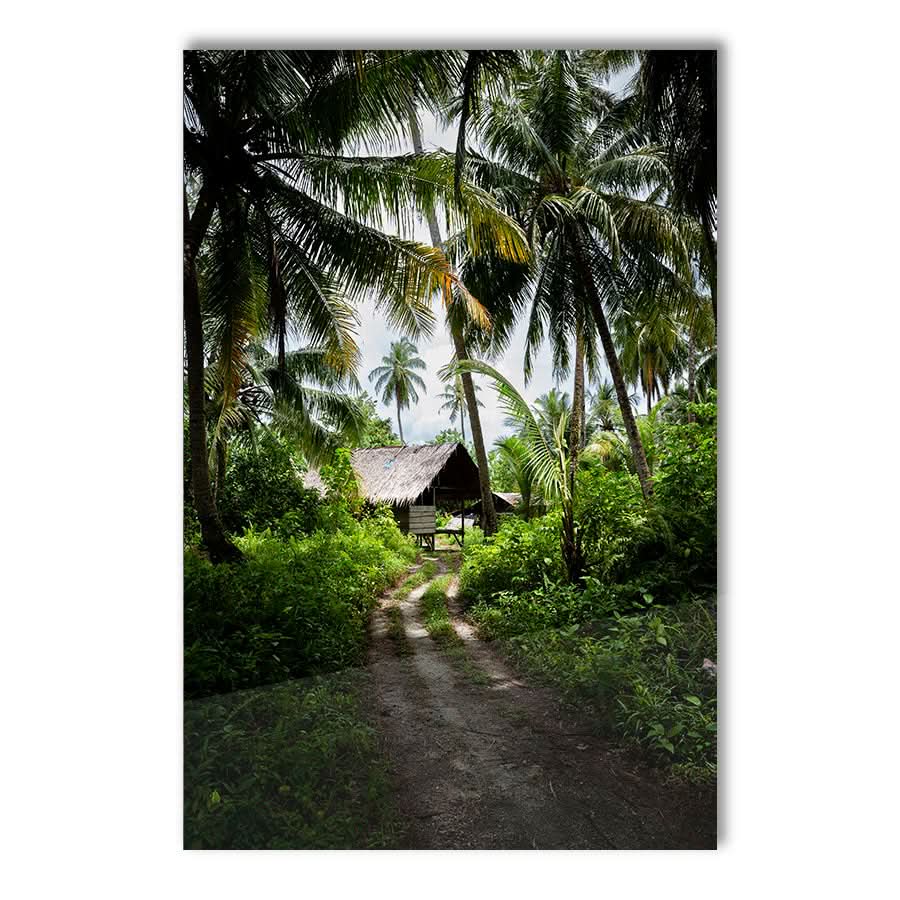 Island Life by Stuart McAndrew