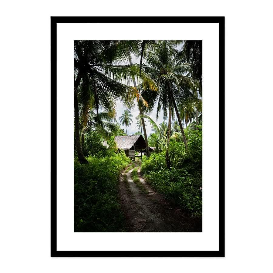 Island Life by Stuart McAndrew