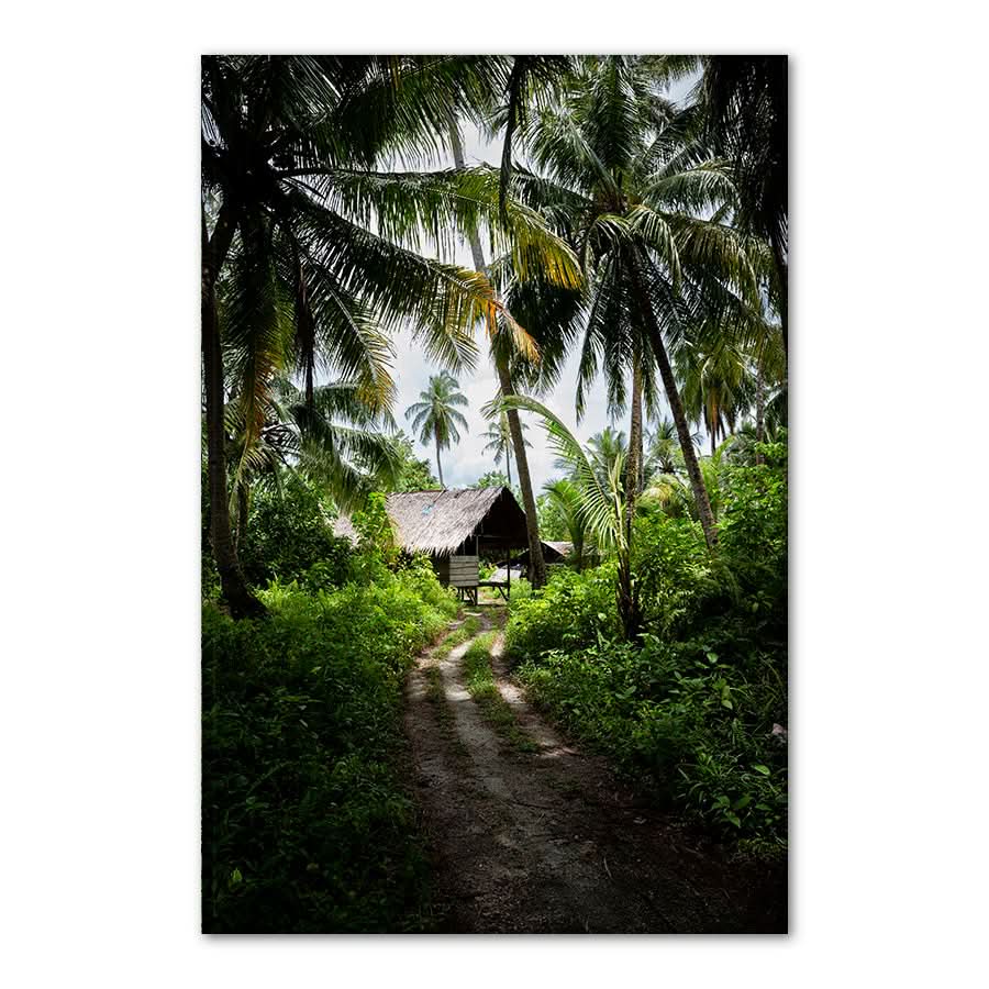 Island Life by Stuart McAndrew