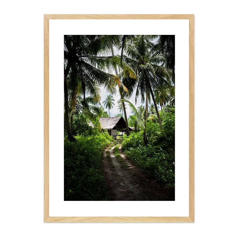 Island Life by Stuart McAndrew
