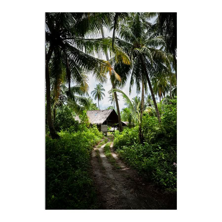 Island Life by Stuart McAndrew