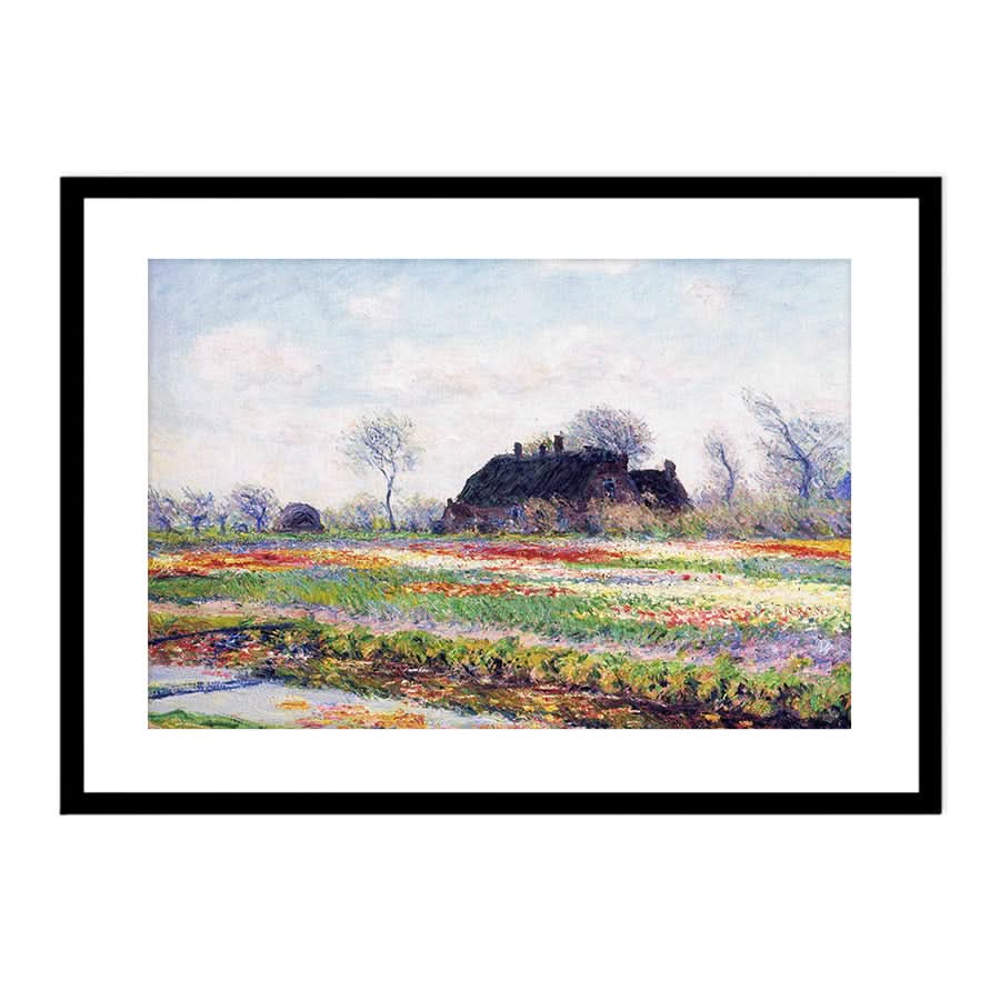 Tulip Fields at Sassenheim, Near Leiden by Claude Monet