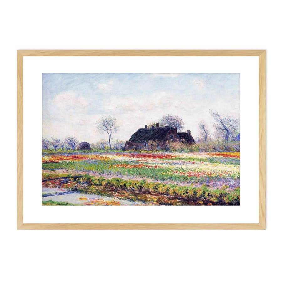 Tulip Fields at Sassenheim, Near Leiden by Claude Monet
