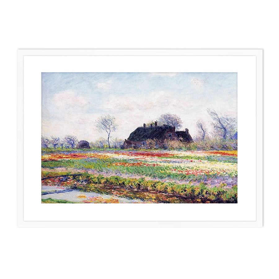 Tulip Fields at Sassenheim, Near Leiden by Claude Monet