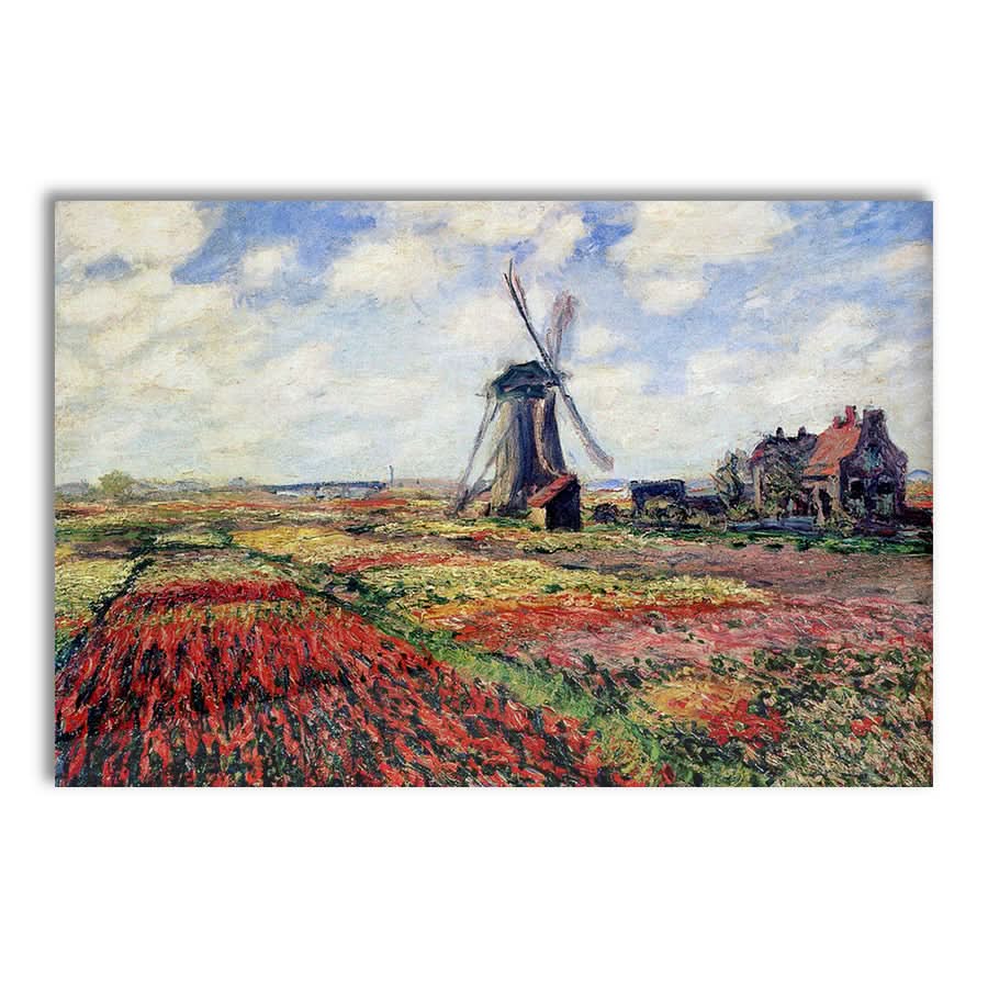 Tulip Fields with the Rijnsburg Windmill