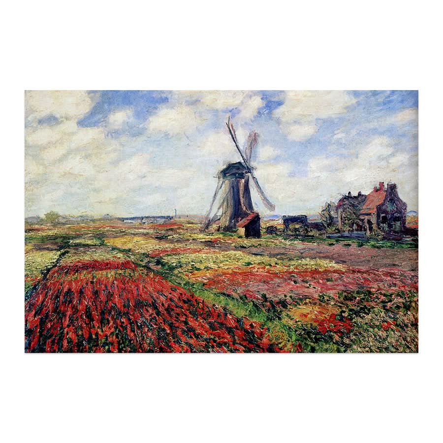 Tulip Fields with the Rijnsburg Windmill