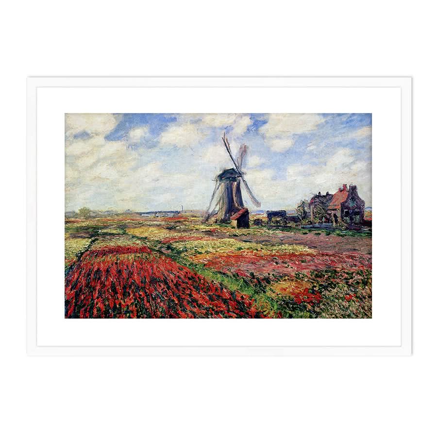 Tulip Fields with the Rijnsburg Windmill