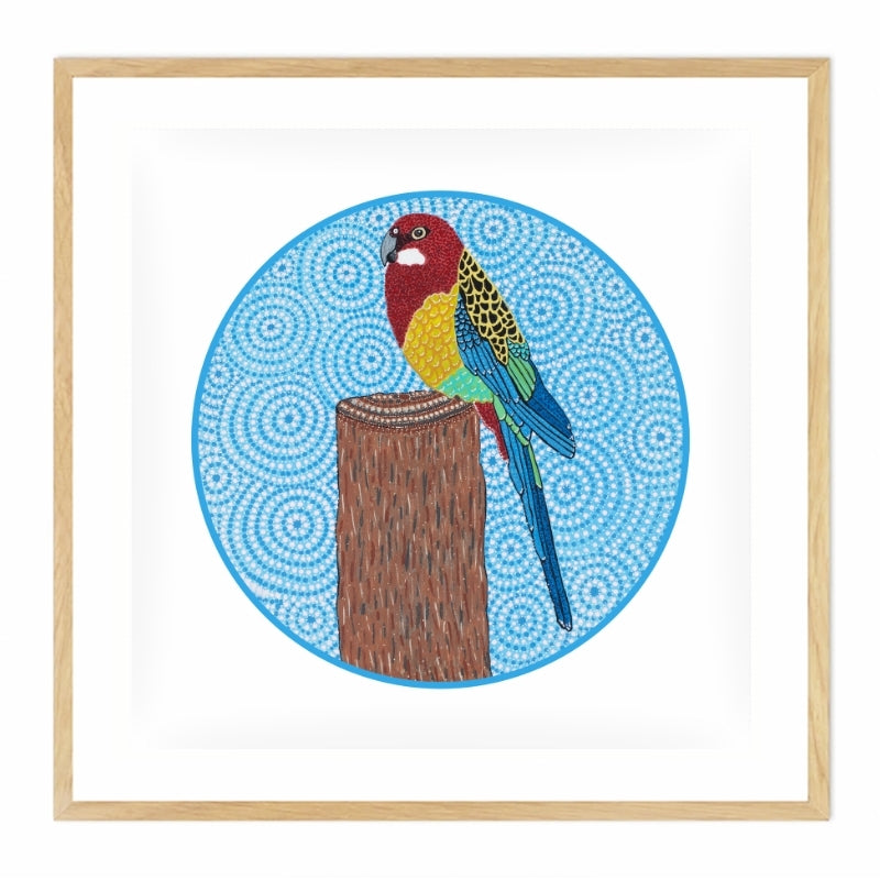 Rosella by Faith McLeod