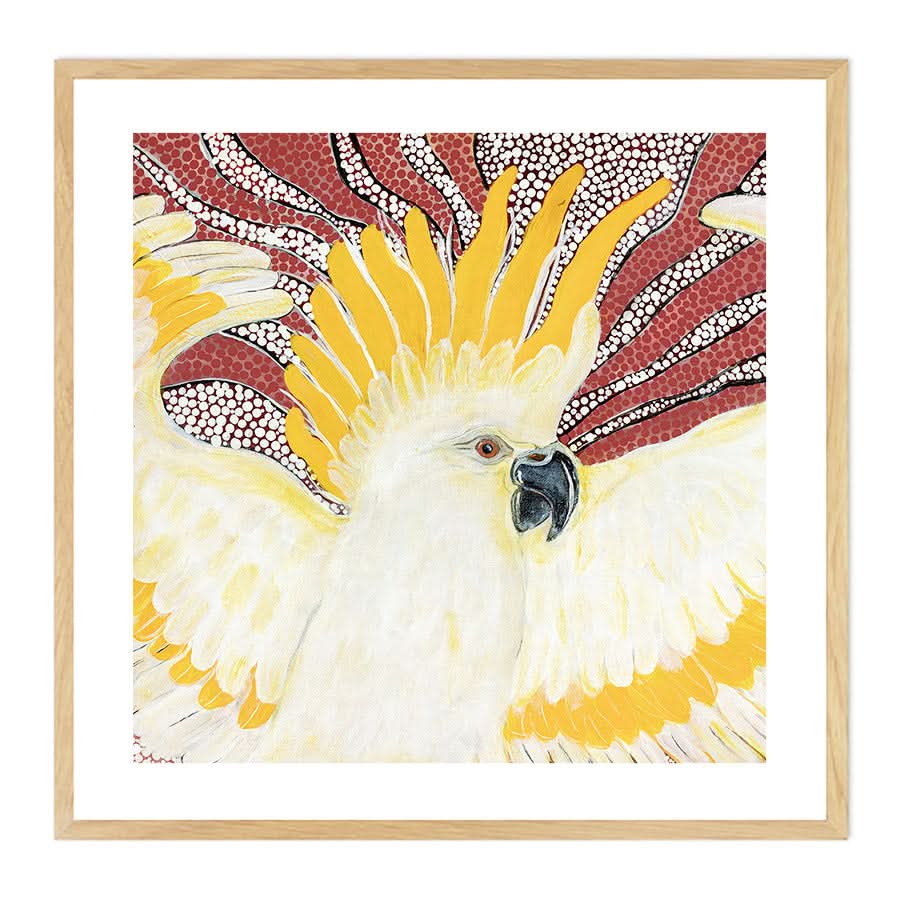 Sulpher Crested Cockatoo by Kay Pauli