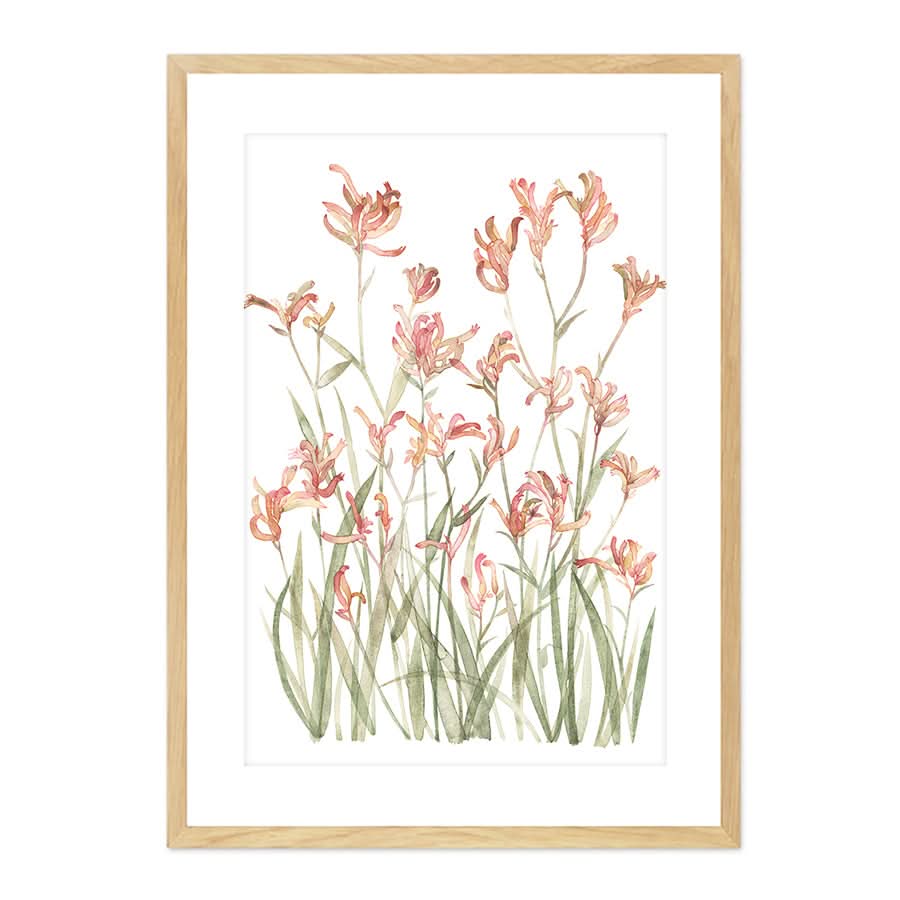 Kangaroo Paw Sunset by Natalie Ryan