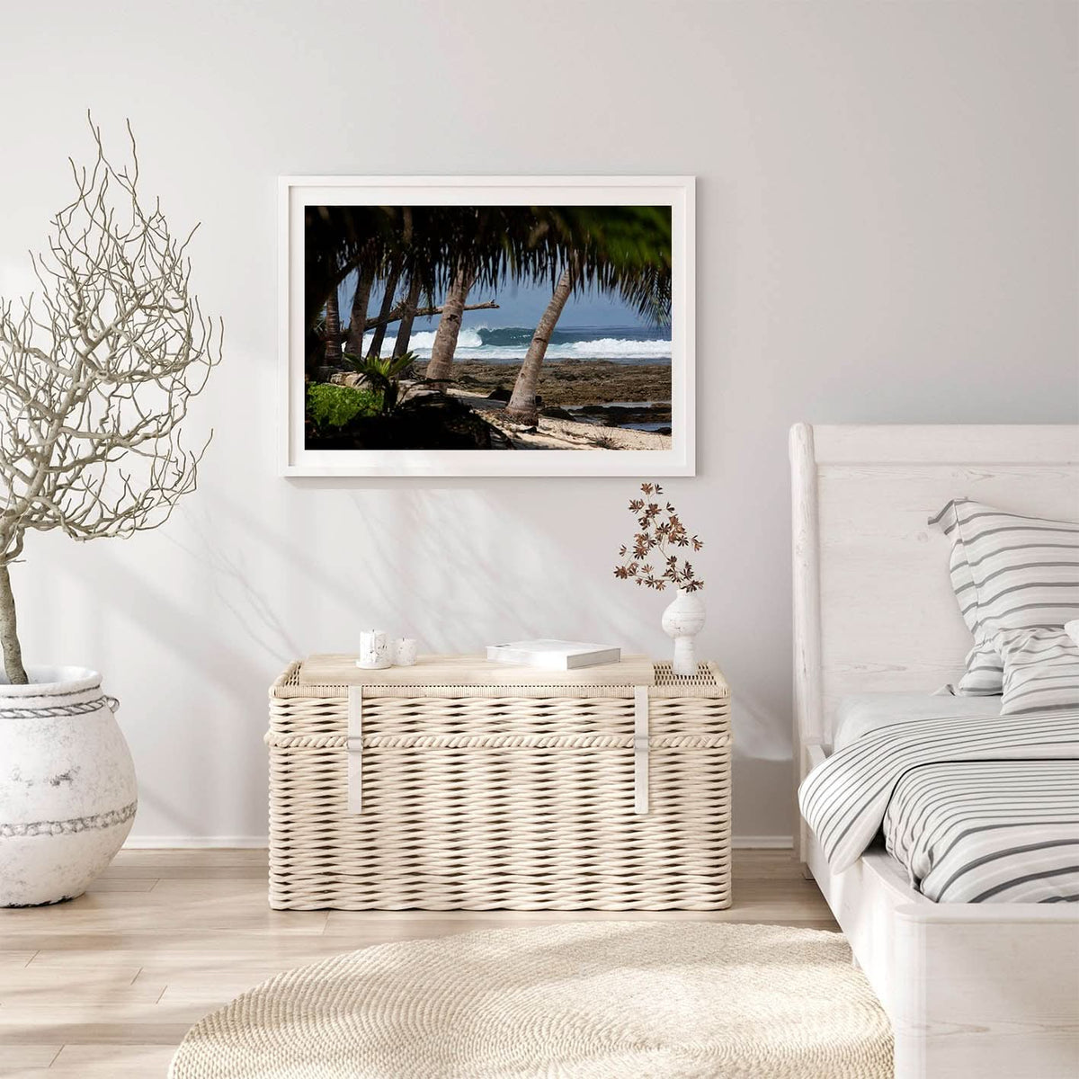 Palm Barrels by Stuart McAndrew