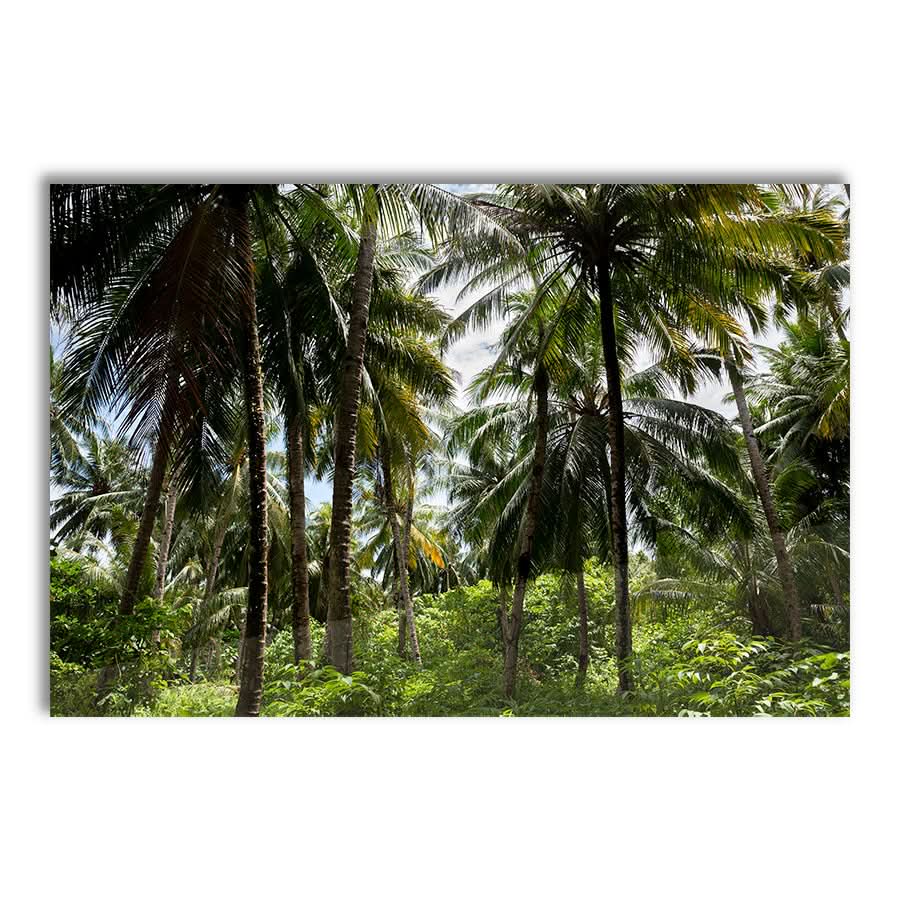 Palm Tree Paradise by Stuart McAndrew