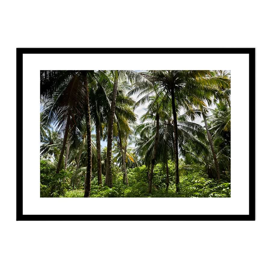 Palm Tree Paradise by Stuart McAndrew