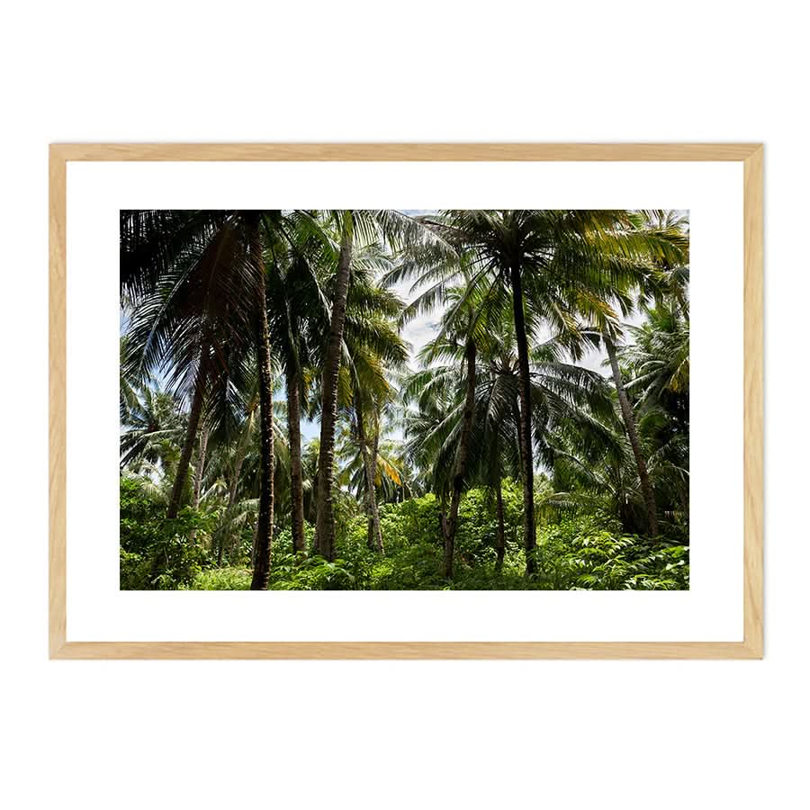 Palm Tree Paradise by Stuart McAndrew