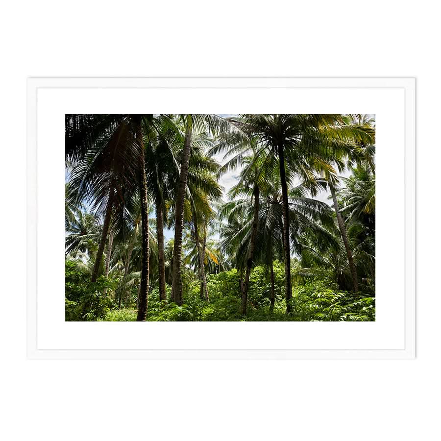 Palm Tree Paradise by Stuart McAndrew