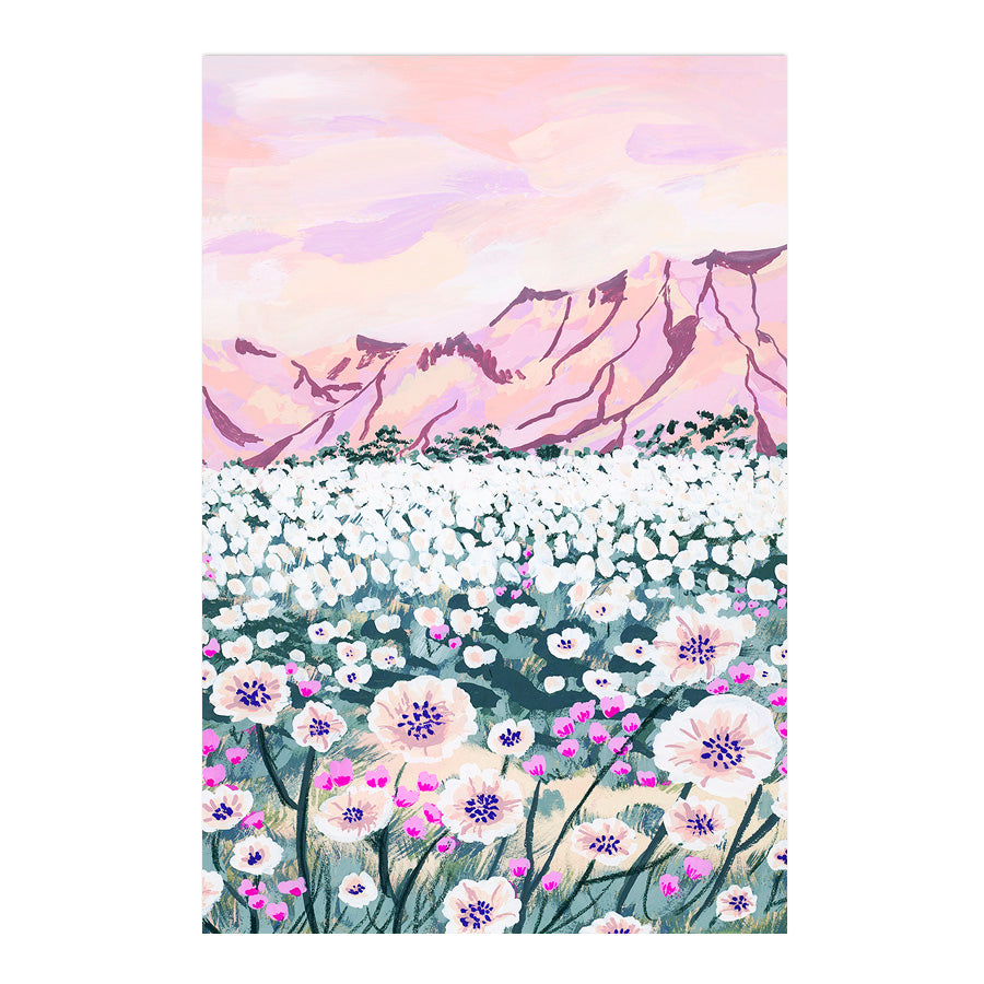 Pink Desert by Sarah Gesek