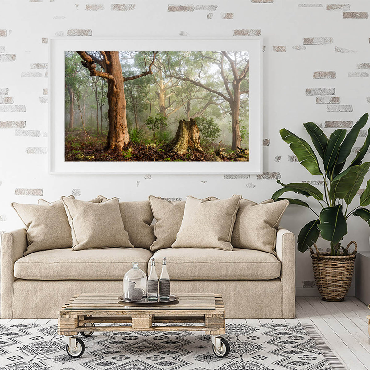Kincumber Mountain 1 by Jason O'Brien