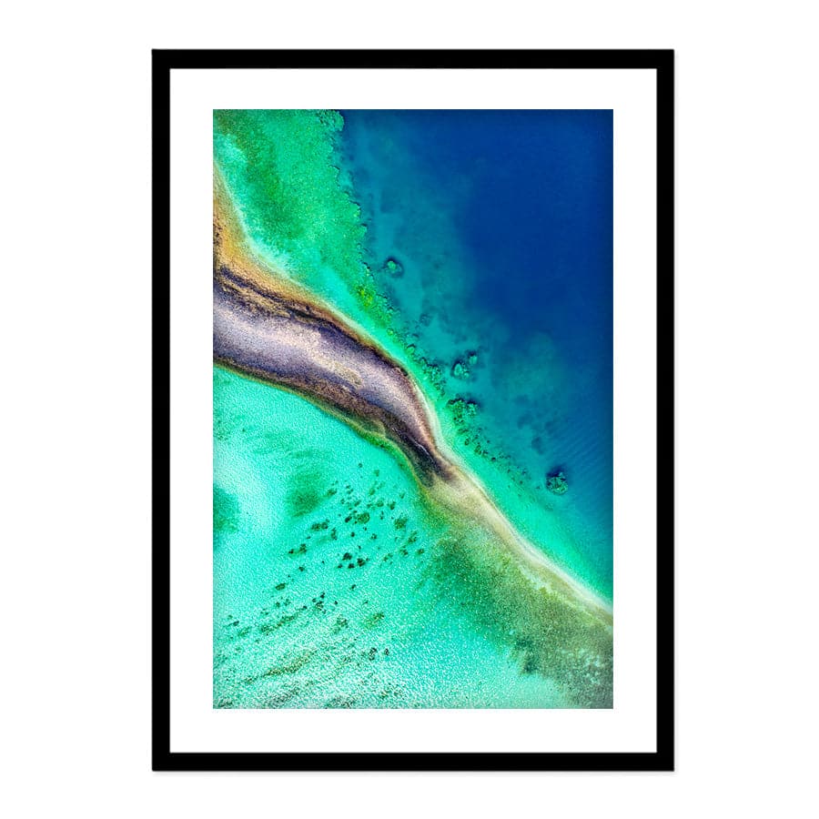 Reef Coral by Serge Melesan